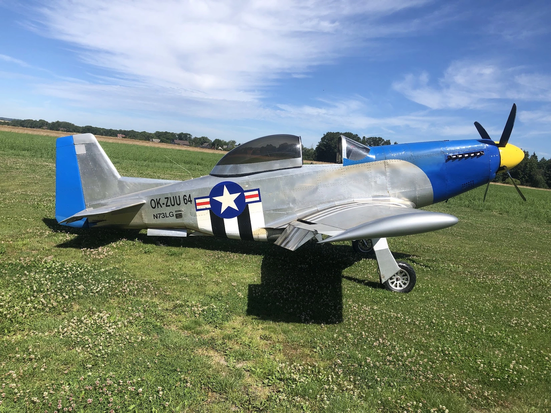 Mustang P-51 replica