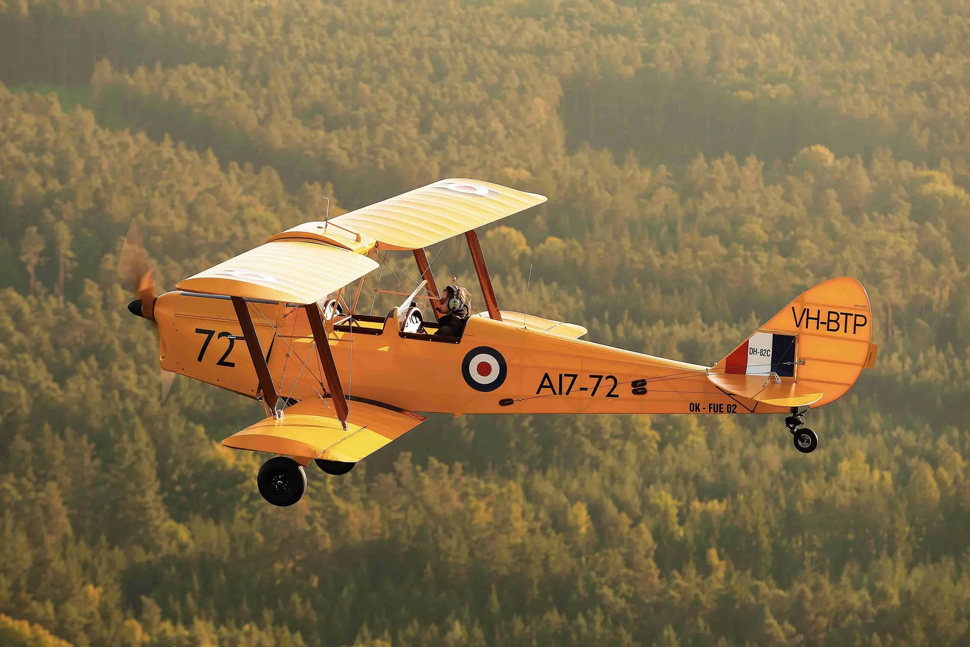 Ultralight Replica OF DE havilland tiger moth