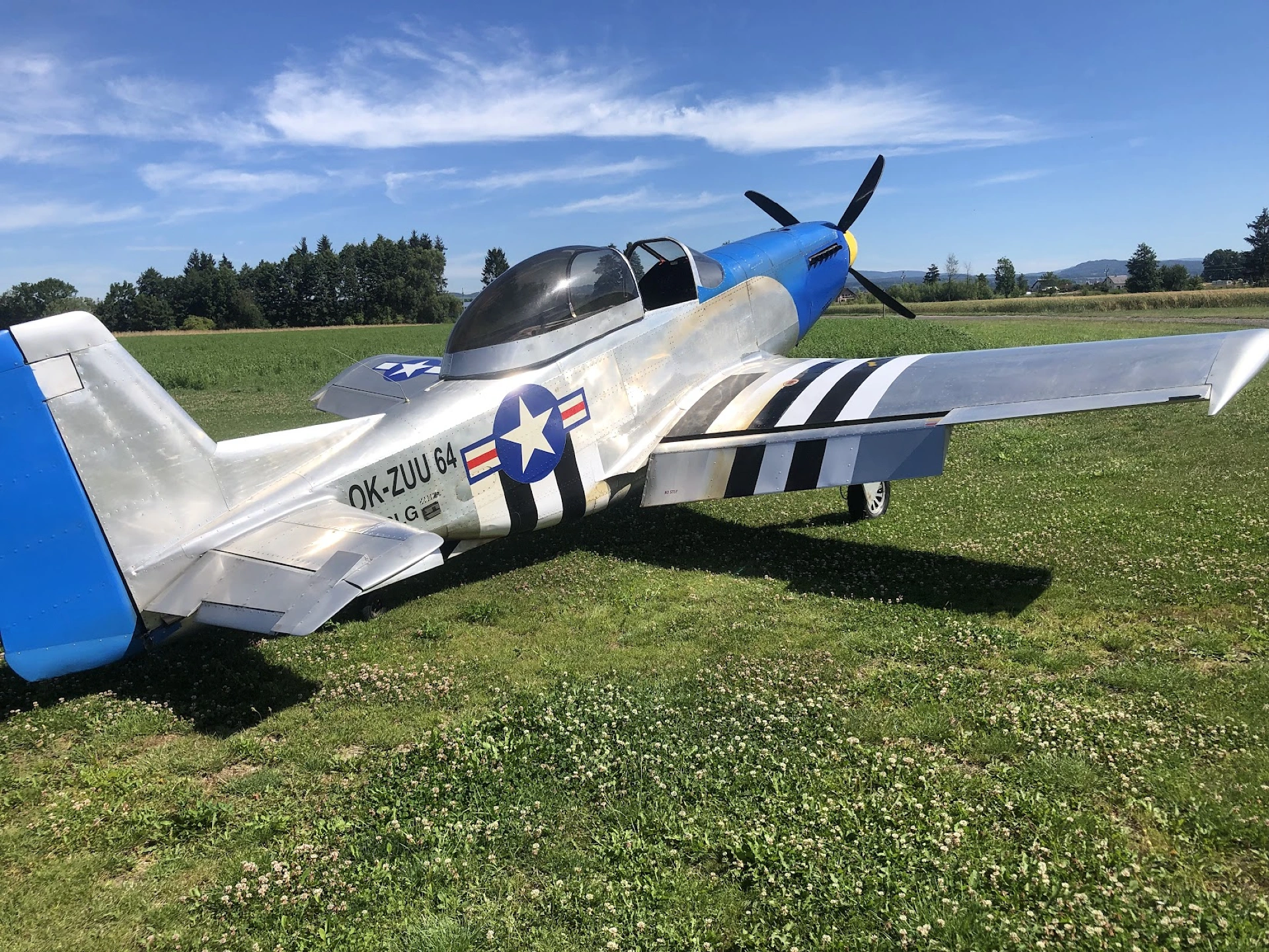 Mustang P-51 replica