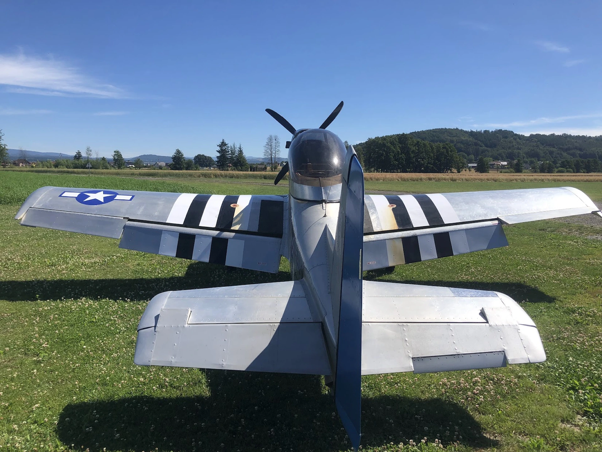 Mustang P-51 replica