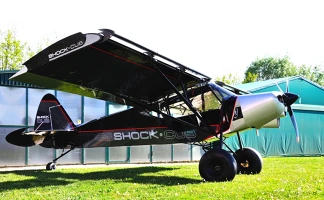 Savage Shock cub